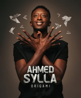 Ahmed Sylla - Origami - Sausheim, Chalons-en-Champagne, Strasbourg, Metz