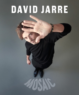 David Jarre - Mosaic - Dijon